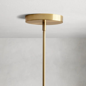 Organic Glass Pendant