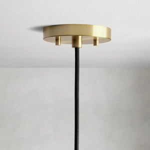 Organic Glass Pendant