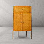Thaddeus Metal Frame Rattan Side Cabinet