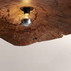 Arris Live-Edge Wood Chandelier