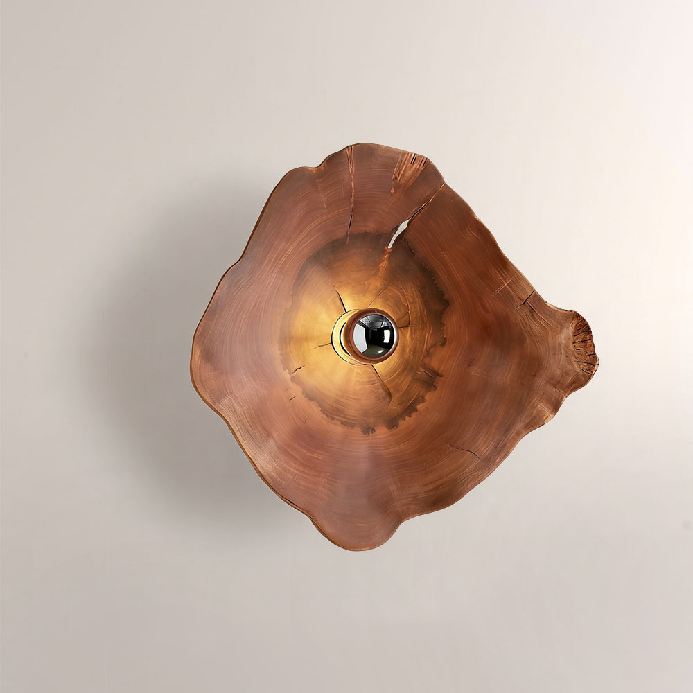 Arris Live-Edge Wood Wall Sconce