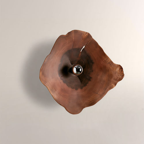 Arris Live-Edge Wood Wall Sconce