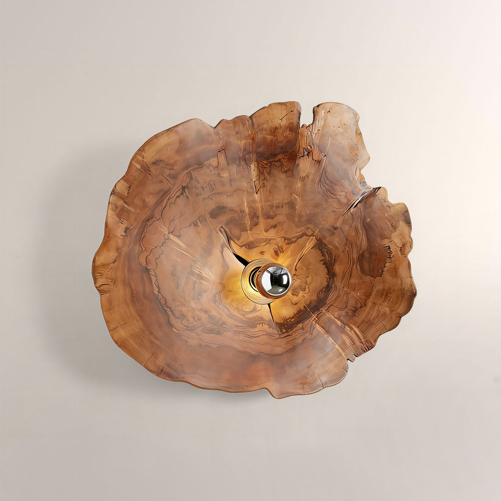 Arris Live-Edge Wood Wall Sconce