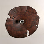 Arris Live-Edge Wood Wall Sconce