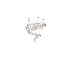 Feather Handblown Glass Chandelier
