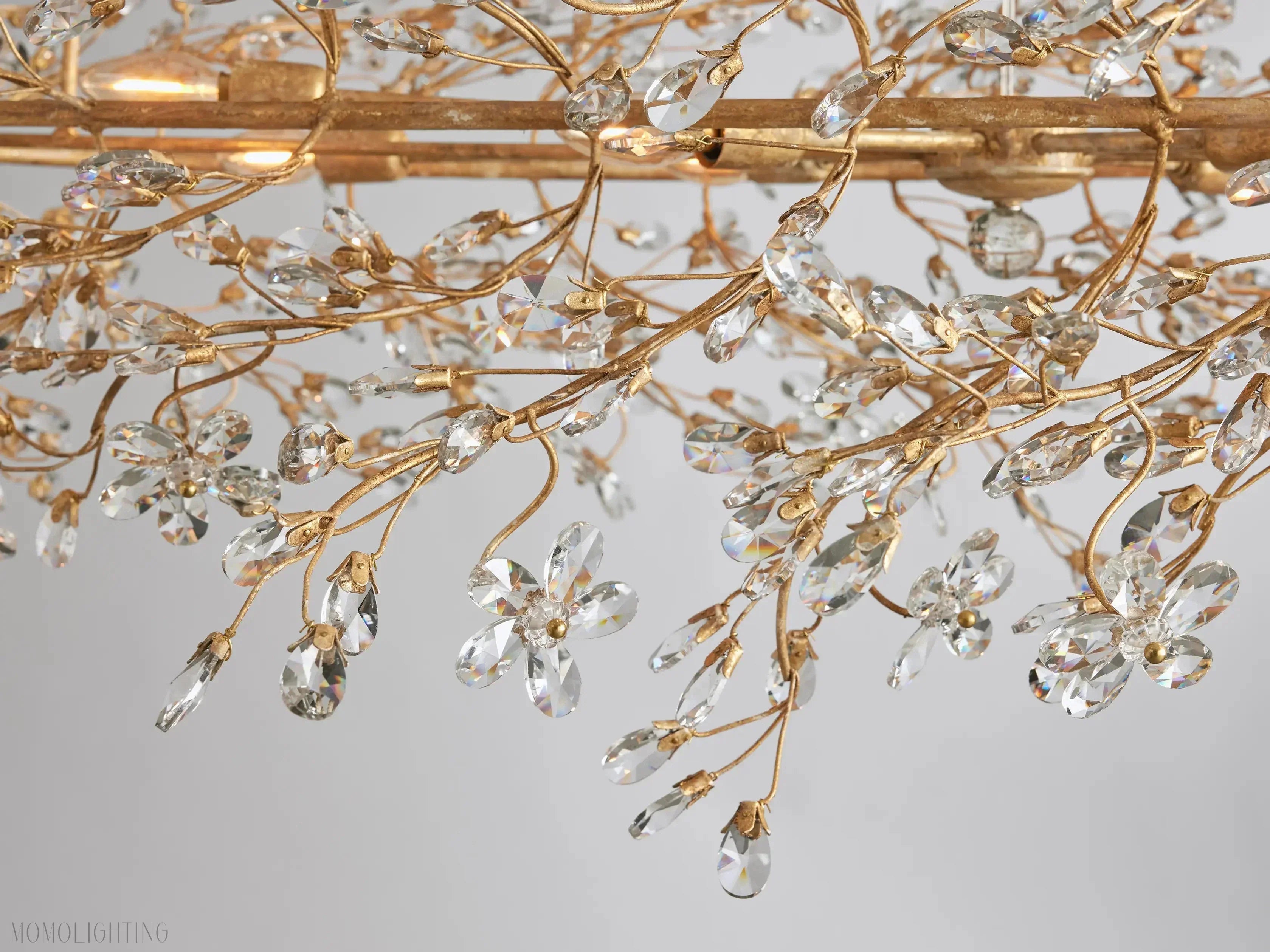 Fiola_Oval_Chandelier-kimoylights