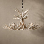Natural Antler Chandelier 36"