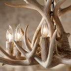 Natural Antler Chandelier 36"