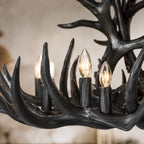 Natural Antler Chandelier 36"