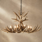 Natural Antler Chandelier 36"
