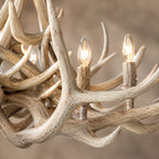 Natural Antler Chandelier 60"
