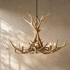Natural Antler Chandelier 60"