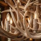 Natural Antler Chandelier 66"
