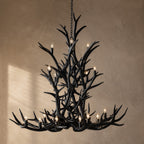 Natural Antler Chandelier 66"