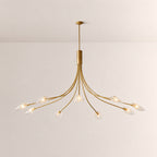 Shesara Clear Glass Round Chandelier