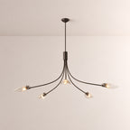 Shesara Clear Glass Round Chandelier