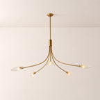 Shesara Clear Glass Round Chandelier