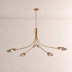 Shesara Smoke Glass Round Chandelier