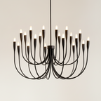 Iional Candelabra Chandelier Light