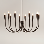 Iional Candelabra Chandelier Light
